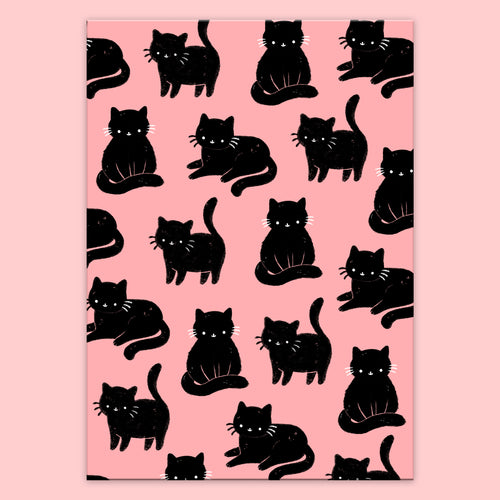 Black Cats Postcard