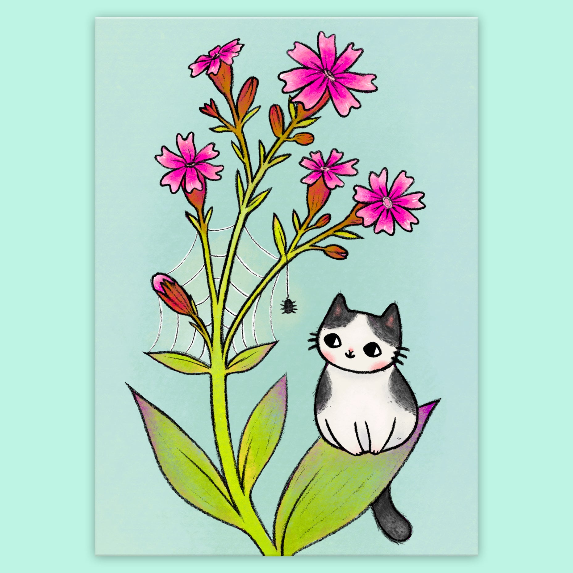 Itsy Bitsy Postcard