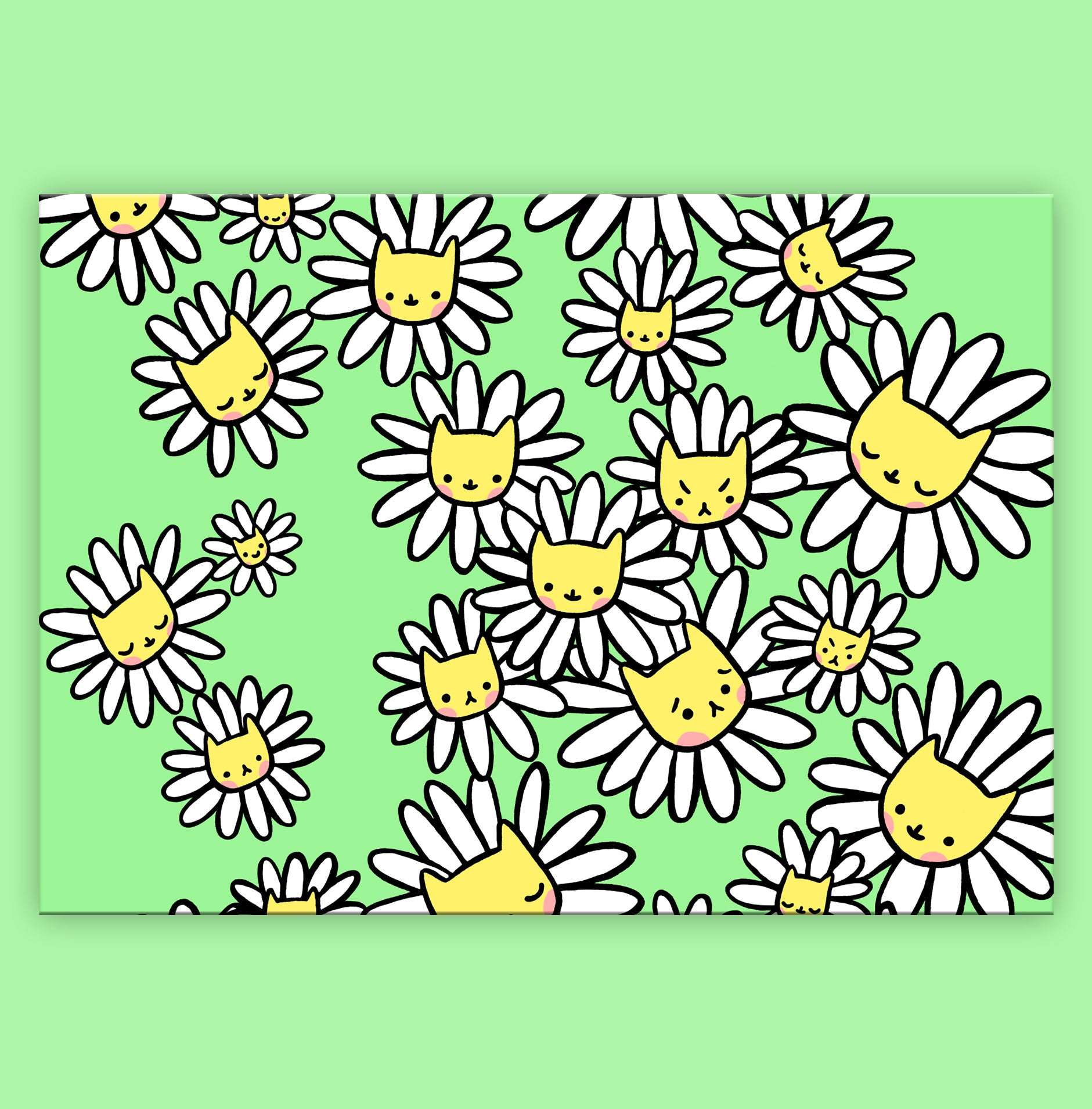 Daisy Kitty Postcard