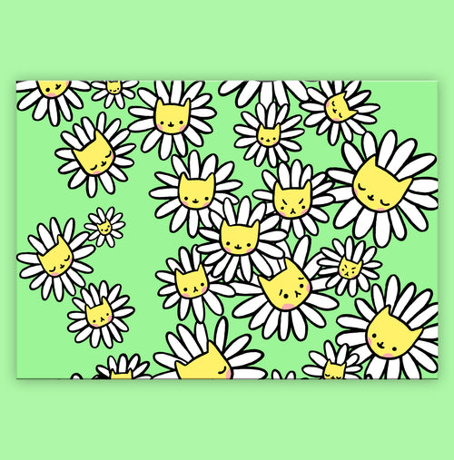 Daisy Kitty Postcard