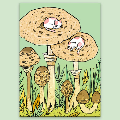 Mushroom Kitties Postcard