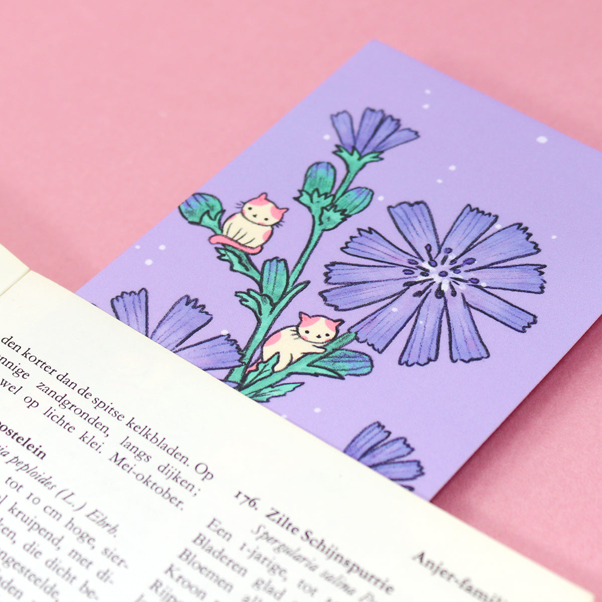 Chicory Cats XL Bookmark