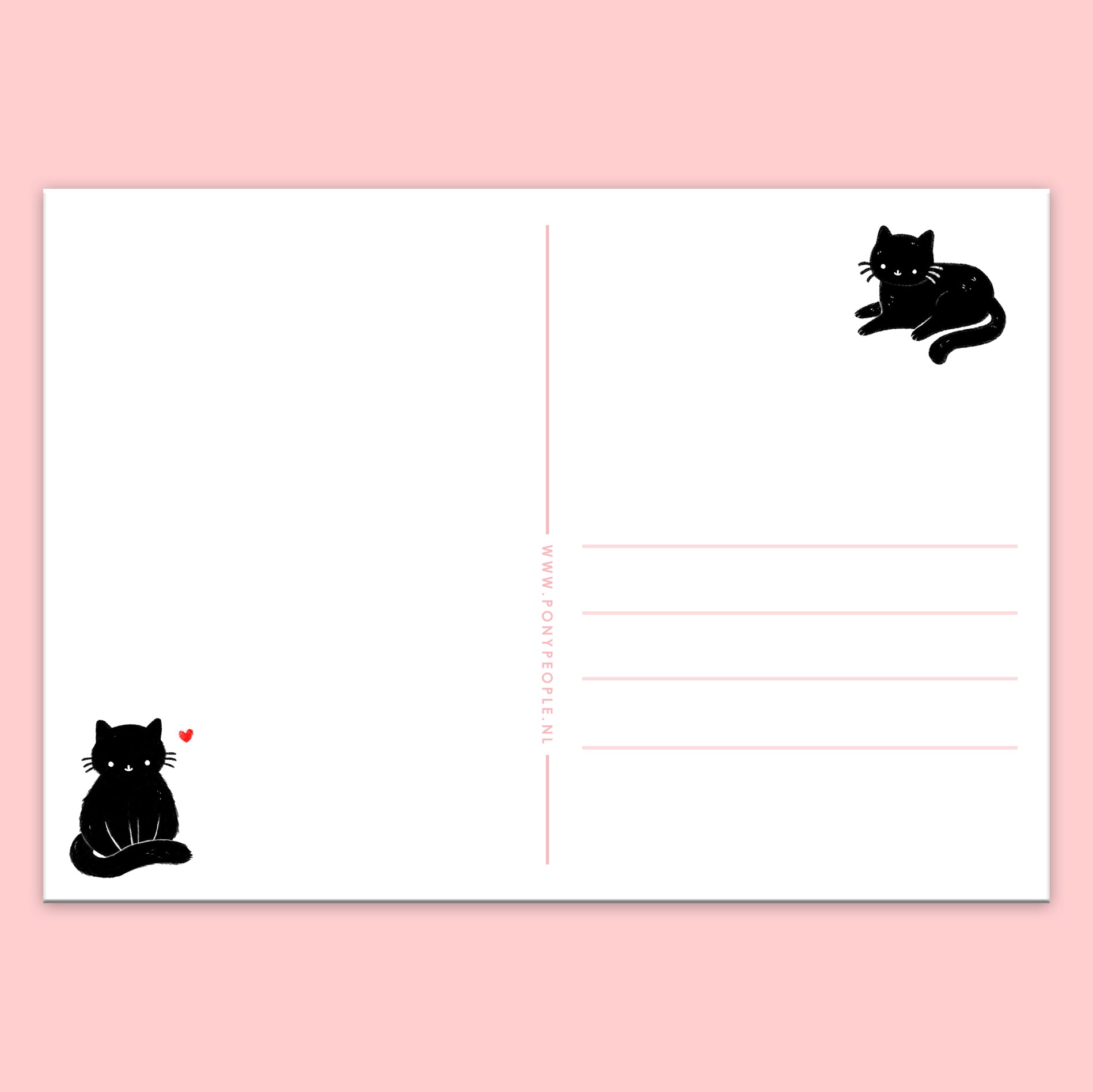 Black Cats Postcard