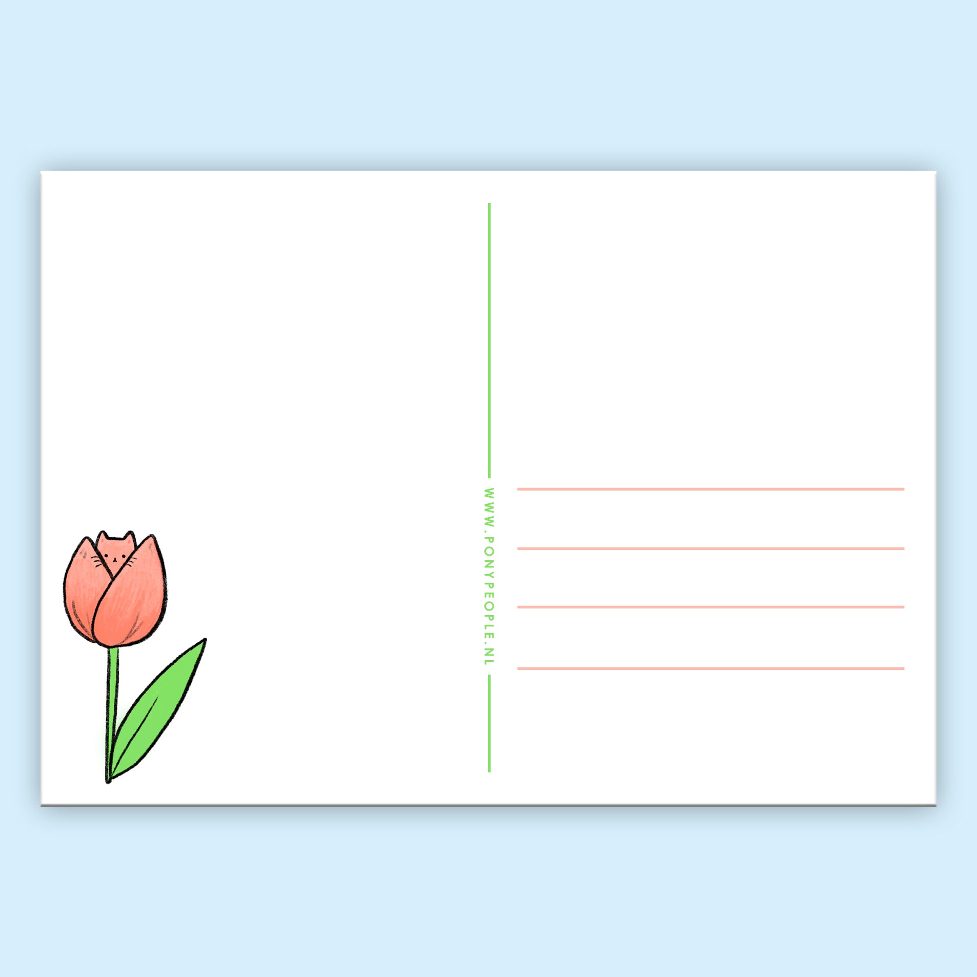 Tulip Kitty Postcard