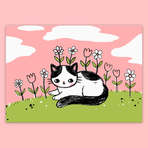 Cat Meadow Postcard